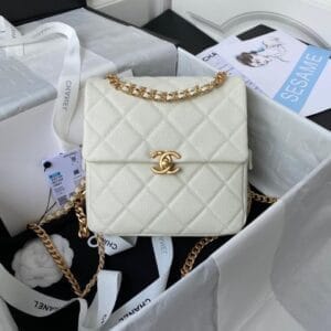 Chanel Bag / Backpack